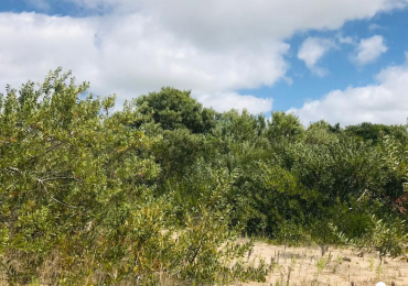 COSTA ESMERALDA - LOTE SENDEROS IV 424